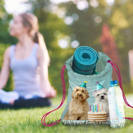 Reversible Backpack Gift Bag 
